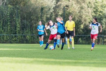 Bild 231 - wBJ VfL Pinneberg - Hamburger SV 2 : Ergebnis: 1:3